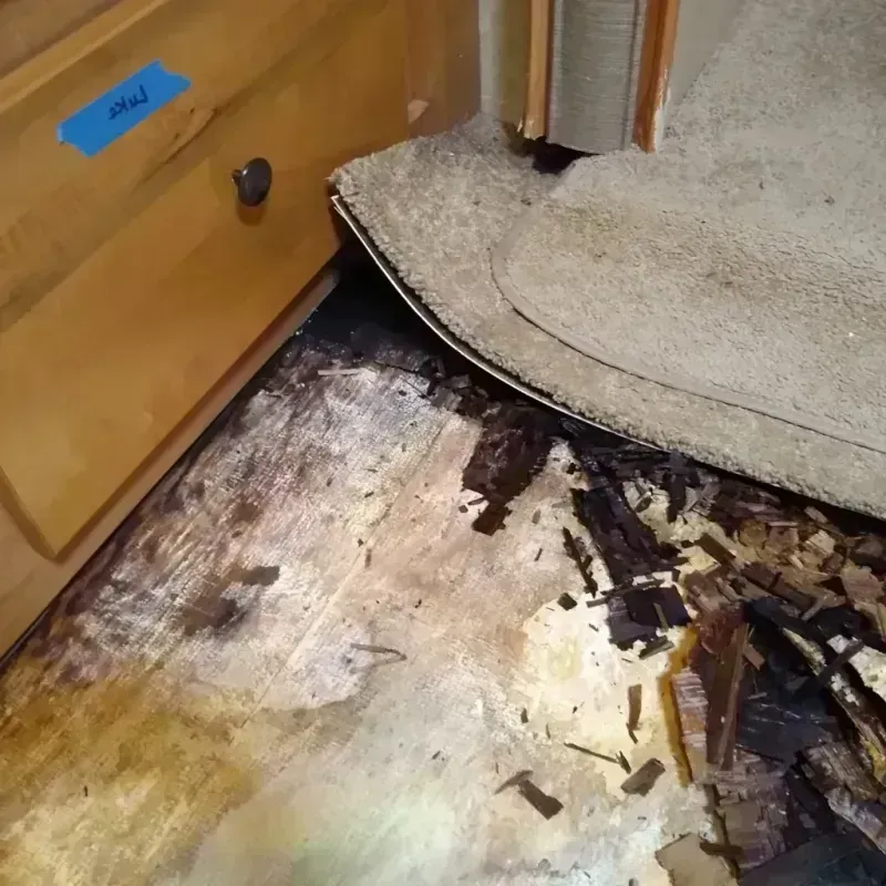 Wood Floor Water Damage in Forrest County, MS